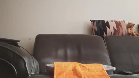 tinydick online show from 06/11/26, 07:17
