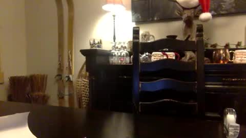 Snapshot of tinyandtatted420 chatting on 12/18/25, 01:22 tinyandtatted420 online show from 12/18/25, 01:22