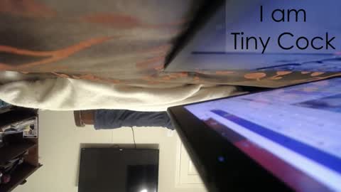 tinycock_1979 online show from 02/21/25, 02:28