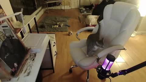 stage Kylie Sinner  brand CLITBAIT online show from 01/30/25, 08:32