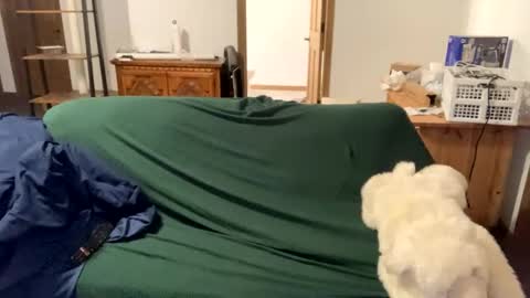 tjfemboi5641 online show from 10/20/25, 11:54