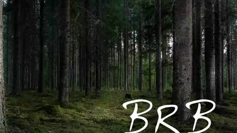 Snapshot of tmosmun chatting on 11/02/25, 07:16 Tim online show from 11/02/25, 07:16