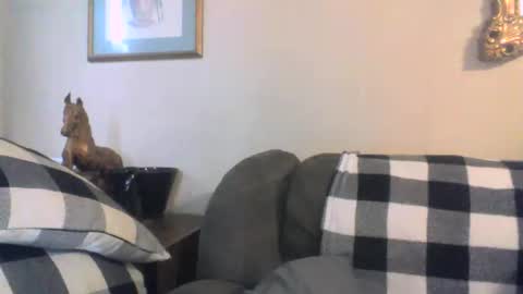 Vols online show from 01/11/25, 06:23