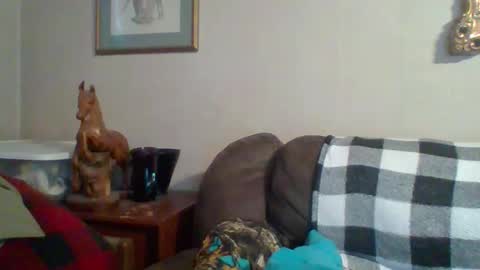 Vols online show from 10/29/25, 09:49