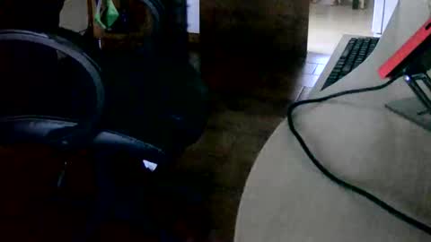 Tobiko online show from 11/15/25, 03:30