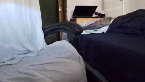 tolon408472 online show from 11/04/25, 02:38