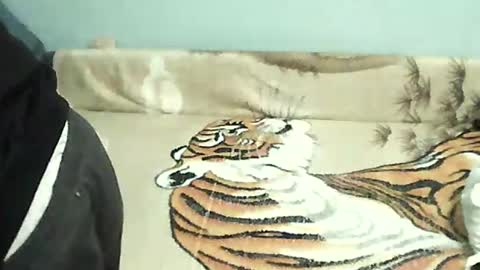 Tomek online show from 12/31/24, 05:18