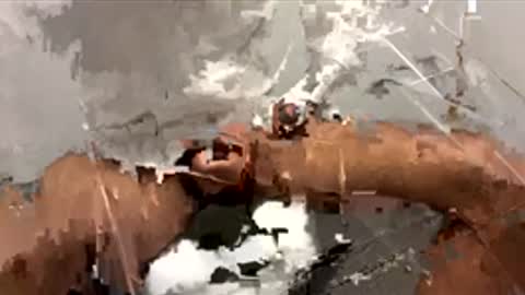 Dr. Dick online show from 11/24/25, 03:45