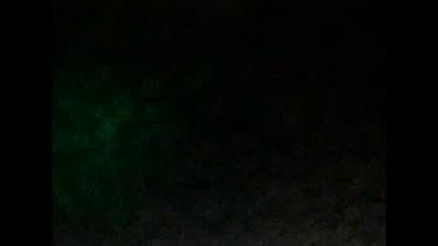 tonyd online show from 01/04/25, 10:05