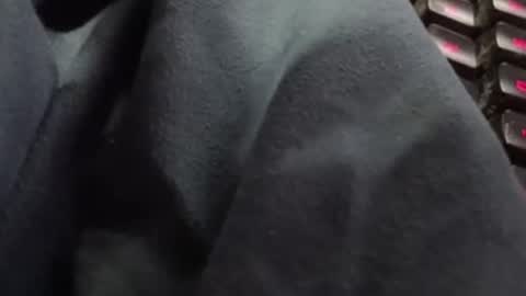 Snapshot of tonysafari chatting on 02/27/25, 01:38 tonysafari online show from 02/27/25, 01:38