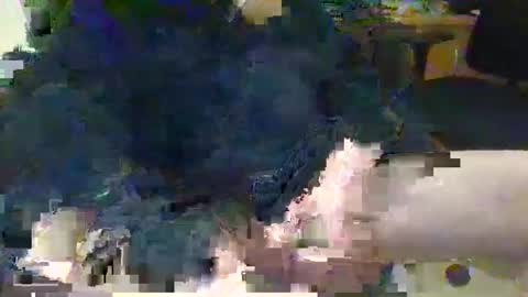 Snapshot of topcat127 chatting on 03/05/25, 06:23 Topcat127 online show from 03/05/25, 06:23