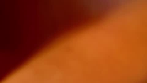 Tori Cross online show from 02/03/25, 11:42