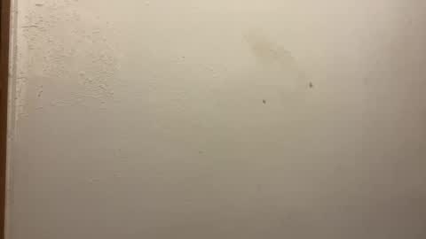 toronto5656 online show from 02/05/25, 03:20