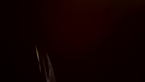 toronto5656 online show from 02/24/25, 11:54