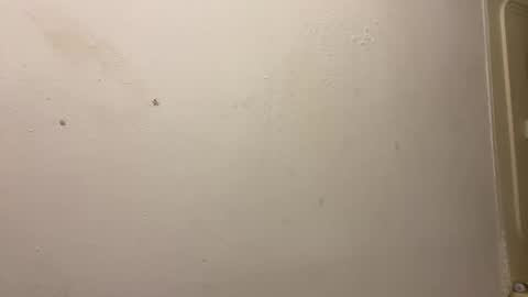 toronto5656 online show from 03/03/25, 03:31