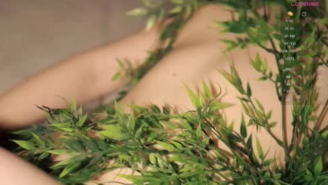 Snapshot of toshimori chatting on 11/03/25, 01:01 Toshi online show from 11/03/25, 01:01