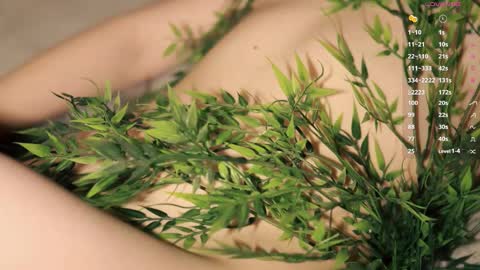 Snapshot of toshimori chatting on 12/01/25, 01:05 Toshi online show from 12/01/25, 01:05