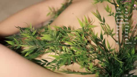 Snapshot of toshimori chatting on 12/14/25, 01:05 Toshi online show from 12/14/25, 01:05