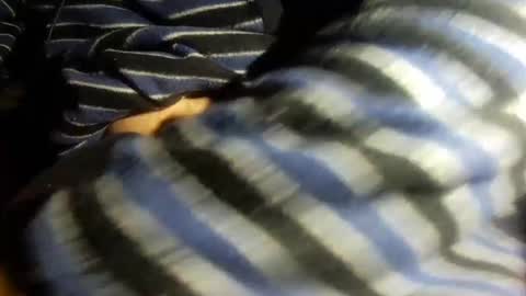 toze2024 online show from 12/24/24, 11:55