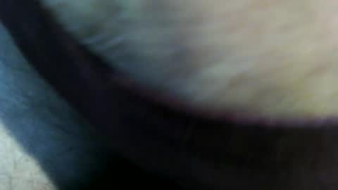 trailblazer1969 online show from 06/27/26, 10:37