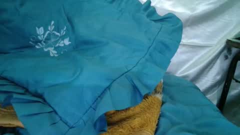 Snapshot of transexdotada chatting on 10/23/25, 05:12 transexdotada online show from 10/23/25, 05:12