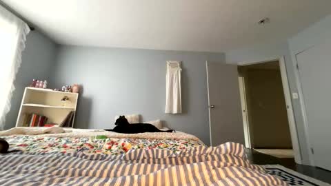 transgirl007 online show from 05/30/26, 09:12