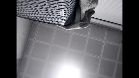 Snapshot of trapper727272 chatting on 02/24/25, 05:43 Big Head Cock online show from 02/24/25, 05:43