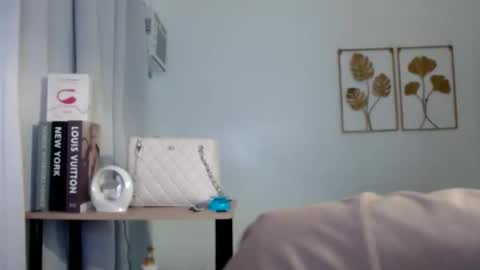 Snapshot of travelergirl chatting on 02/22/26, 03:10 travelergirl online show from 02/22/26, 03:10