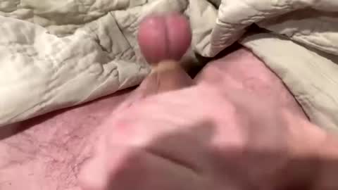 Snapshot of tree553 chatting on 01/13/25, 01:56 tree553 online show from 01/13/25, 01:56