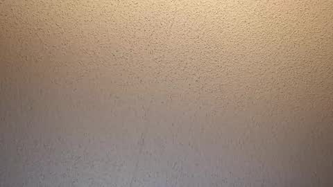 treedude303720 online show from 10/16/25, 09:43