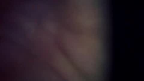 Snapshot of trex23rd chatting on 03/06/26, 11:39 trex23rd online show from 03/06/26, 11:39