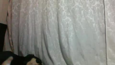 triana_bell online show from 01/14/25, 02:40