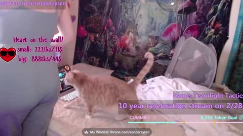 Snapshot of tricky_nymph chatting on 02/26/26, 07:46 Cassie online show from 02/26/26, 07:46