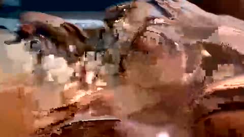 Snapshot of trigood chatting on 02/13/25, 02:01 trigood online show from 02/13/25, 02:01