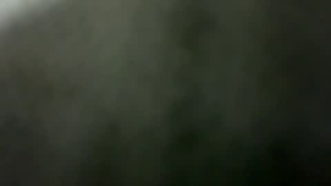 tripit1 online show from 12/21/25, 08:43