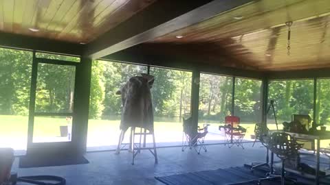 trojanswingers online show from 06/02/26, 06:32