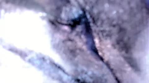 Snapshot of tshotfuckingyanzxx chatting on 02/12/25, 03:18   Stella Hanlon    - - online show from 02/12/25, 03:18