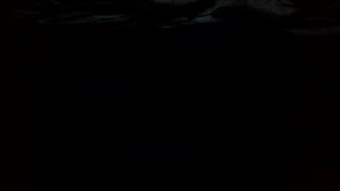 ttess0742 online show from 06/16/26, 02:36