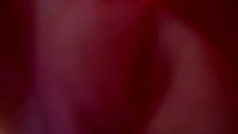 JULIETA  online show from 10/20/25, 01:06