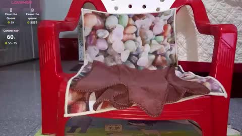 Snapshot of tulip_sexxy chatting on 09/26/25, 12:03 tulip_sexxy online show from 09/26/25, 12:03