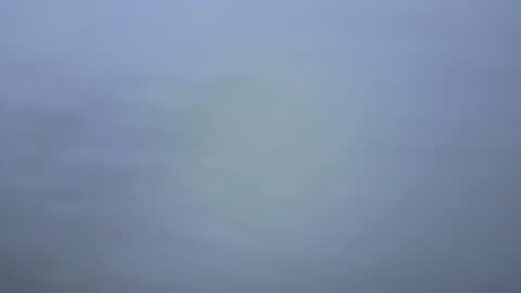 Snapshot of tutti_frutti_ chatting on 01/09/26, 07:04 Ariana online show from 01/09/26, 07:04