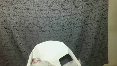 Snapshot of twerker_lyly chatting on 10/07/25, 07:00 twerker_lyly online show from 10/07/25, 07:00