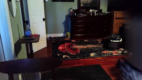 twerkyballs online show from 12/22/25, 06:38