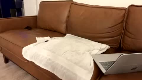 txguybi online show from 08/04/26, 03:53