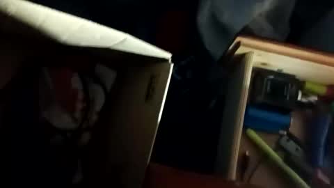 Snapshot of tylershroyer7 chatting on 10/28/25, 03:14 Dudeman online show from 10/28/25, 03:14