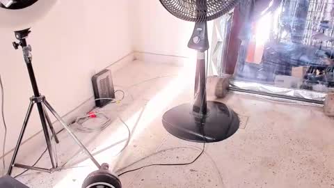 Dvid Rullers online show from 12/14/25, 12:54