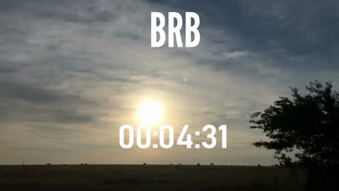 ulmo_br online show from 12/15/24, 10:58