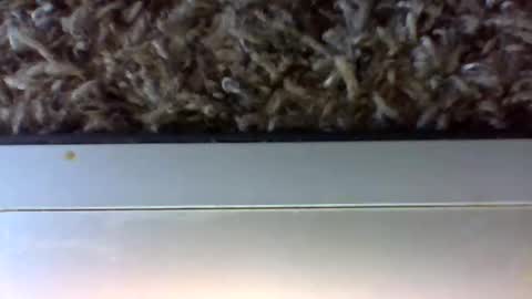 tele kuzhbuzh online show from 01/24/25, 06:25