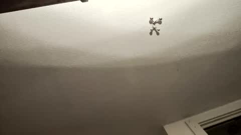 Snapshot of uncut_widda_bigbutt chatting on 02/03/25, 04:14 uncut_widda_bigbutt online show from 02/03/25, 04:14