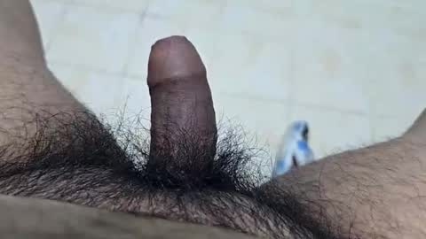 Snapshot of uncuttool3000 chatting on 11/25/25, 03:56 uncuttool3000 online show from 11/25/25, 03:56